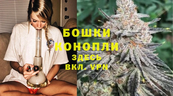 дживик Ладушкин