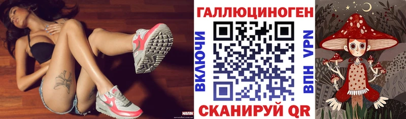 darknet как зайти  Сокол  Псилоцибиновые грибы прущие грибы 