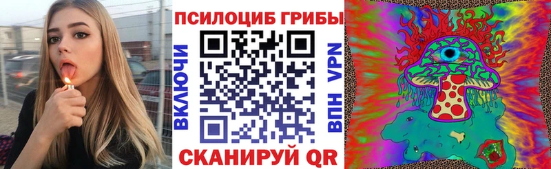 Псилоцибиновые грибы мицелий Сокол