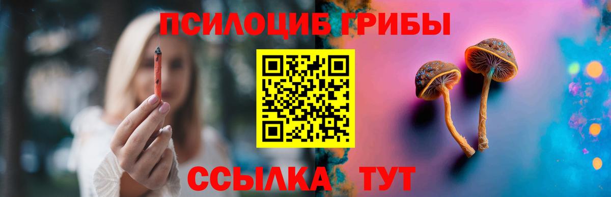 Галлюциногенные грибы MAGIC MUSHROOMS  Псилоцибиновые грибы GOLDEN TEACHER  Сокол  Вход с VPN 