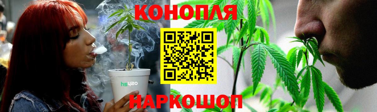 Шишки марихуана семена Сокол